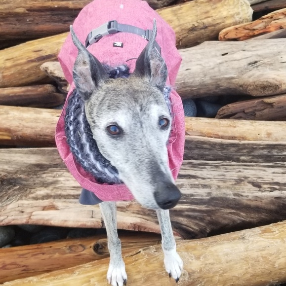 Meet your Posher, Annette - Picture 1 of 1